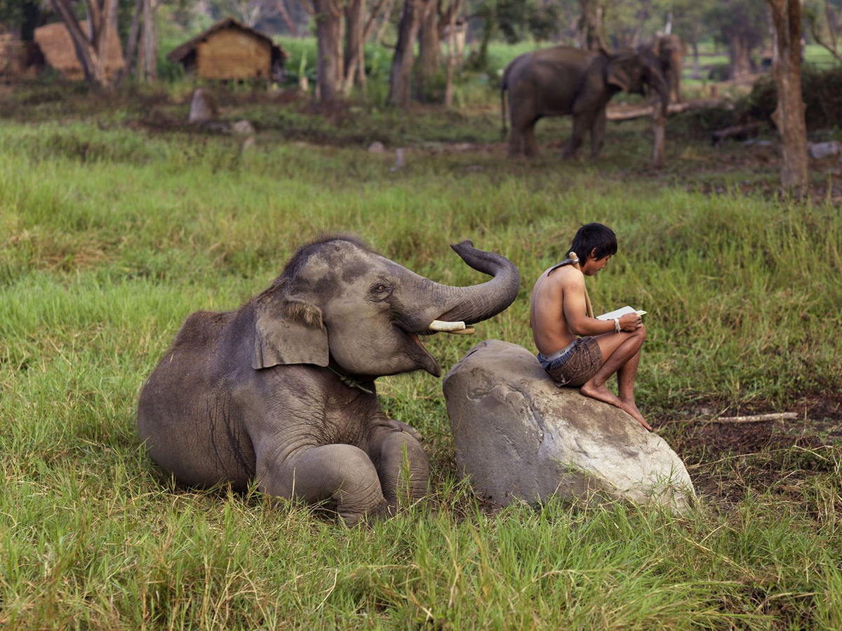 SteveMcCurry Chiang Mai Thailand 2010 c Steve McCurry Magnum Photos klein