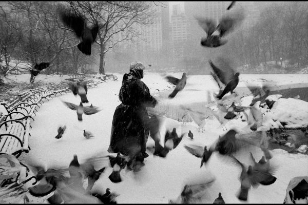 Lola in Central Park, New York City, USA, 1992, © Bruce Davidson/Magnum Photos