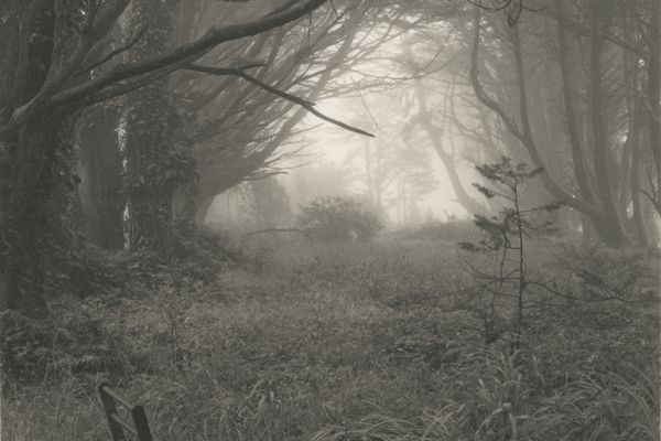 Mark Citret, Abandoned Chairs in Fog, Skyline Dr. 3/22, 2010